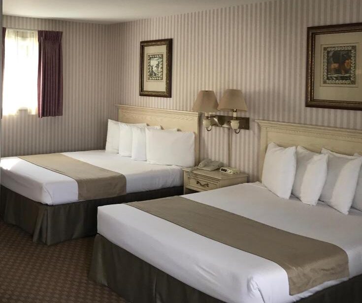 Clean Crisp Double King beds